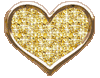 Gcoeur031