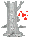 Pcoeur126