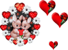 Pcoeur155