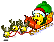 Noel008
