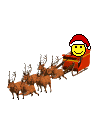 Noel031