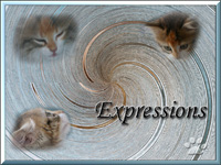 Expressions