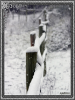 Neige Secrte