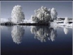 Jours d'Hiver