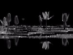 noir_couleur