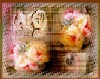 Fleurs102