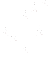 Flocon052