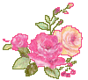Rose039