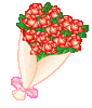 Rose040