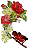 Rose041