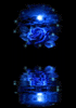 Rose062