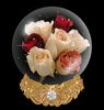 Rose063