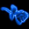 Rose067