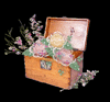 Rose068