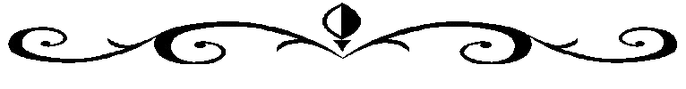 766x100