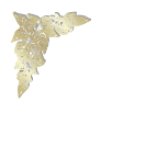 Coin 143x143-02