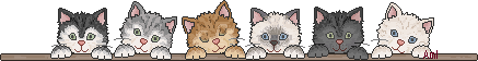 Ligne chat 18