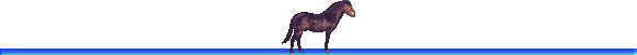 Ligne cheval 08
