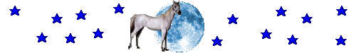 Ligne cheval 18