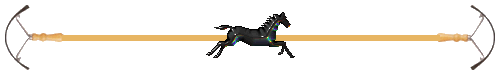 Ligne cheval 19