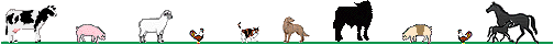 Ligne Cheval 46