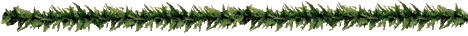 Ligne Fleurs 60