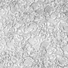 Argent010