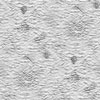 Argent015