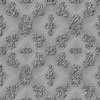 Argent023