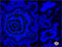 fractale085