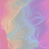 Rose021