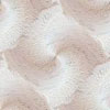 Rose032