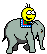 Elephant000