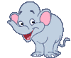 Elephant005