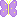 Papillon001