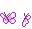 Papillon002