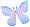 Papillon018