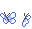 Papillon019