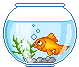 Poisson003