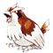 Pok056