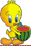 Titi004
